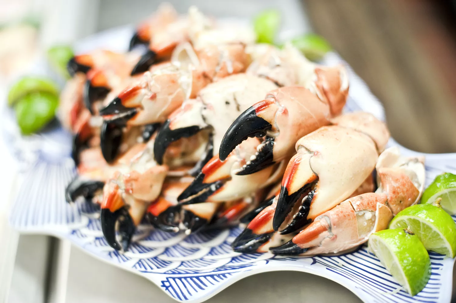 I’m From Florida, And Stone Crab Season Is The Best Seafood Season